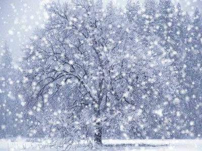snow